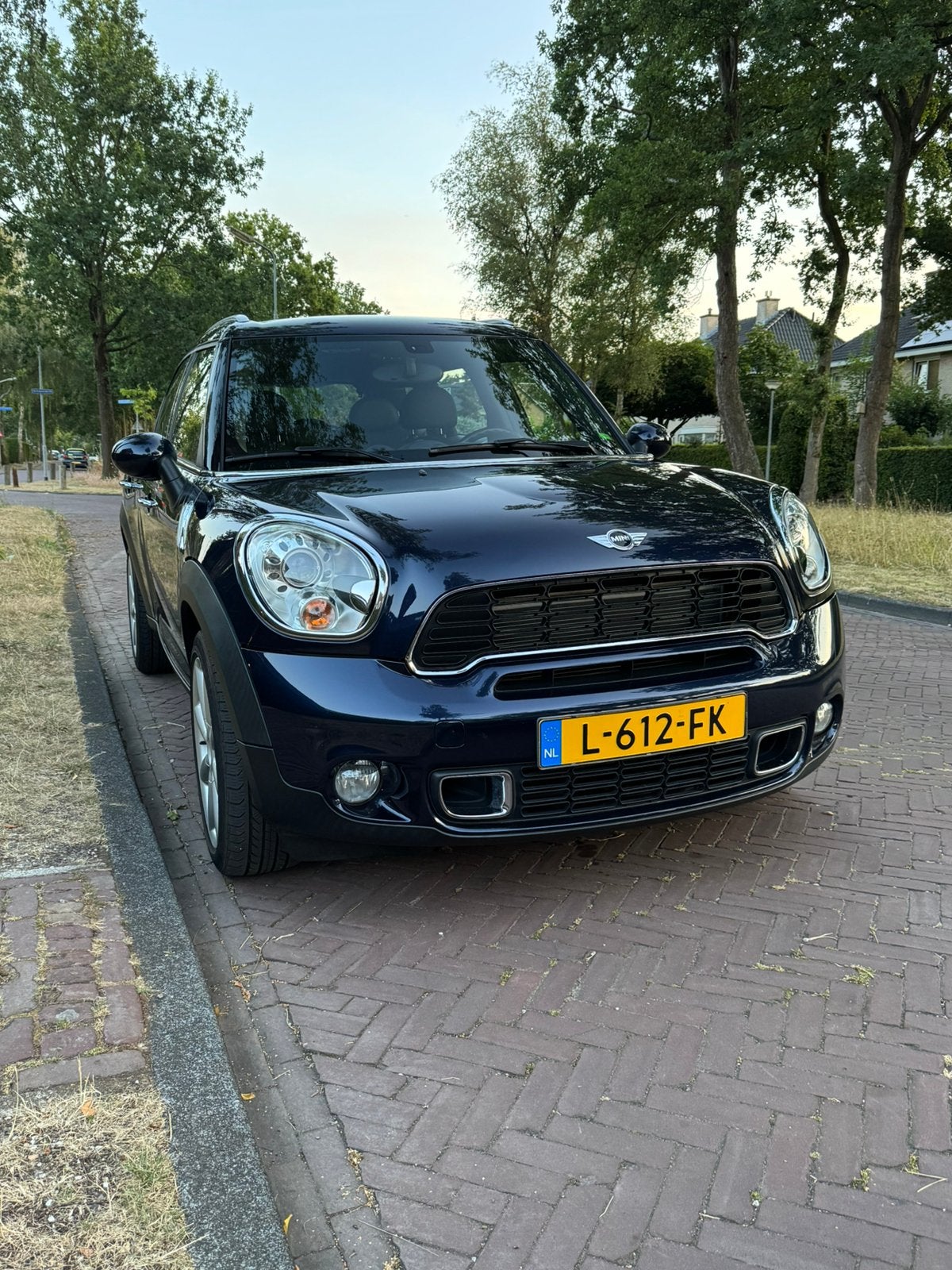 Mini Countryman 1.6 Cooper S All4 AUT 2011 Blauw, Auto's, 1380 kg, Blauw, 75 €/maand, Vierwielaandrijving
