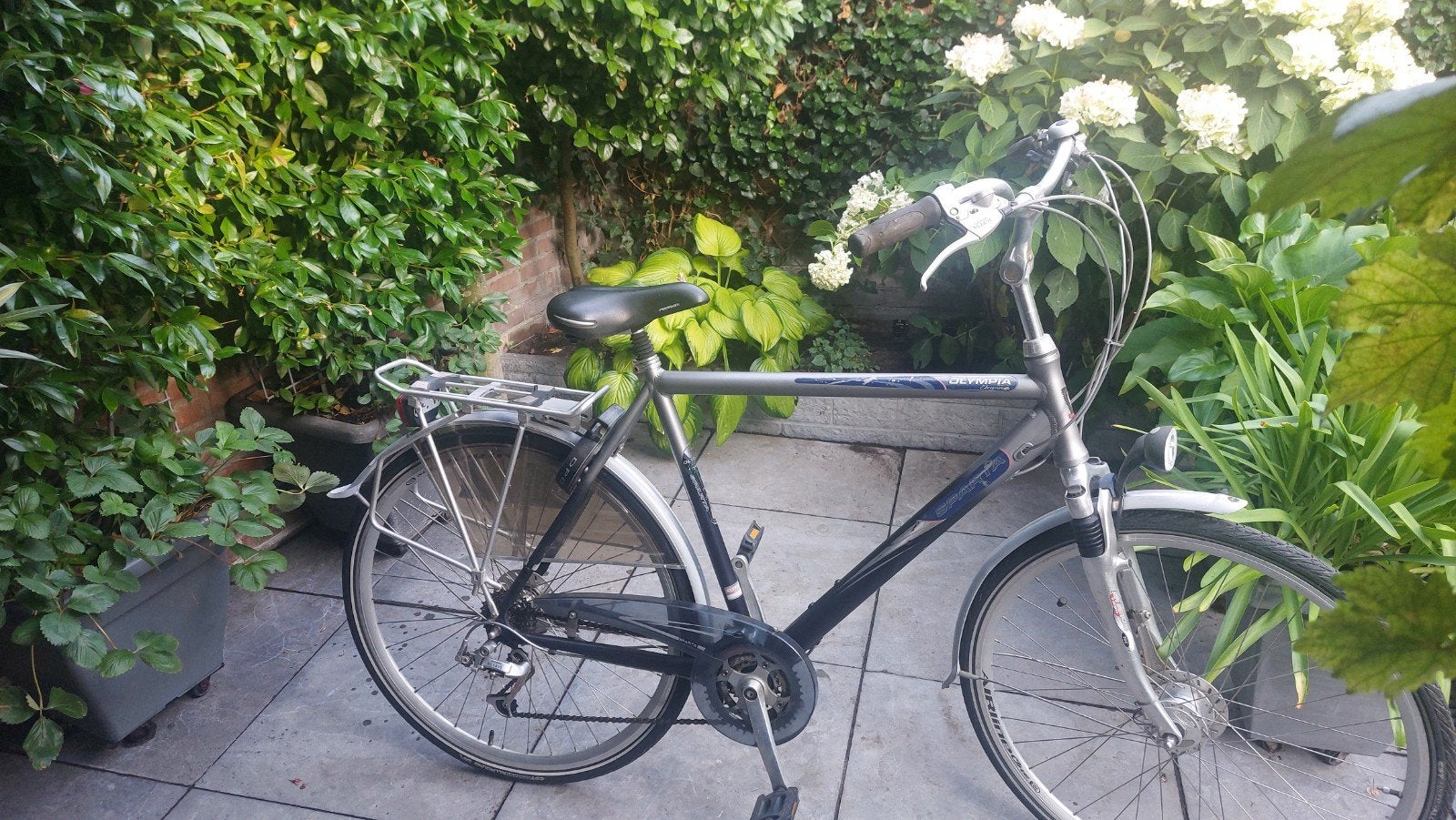herenfiets  sparta, Ophalen, Sparta, Gebruikt, Versnellingen