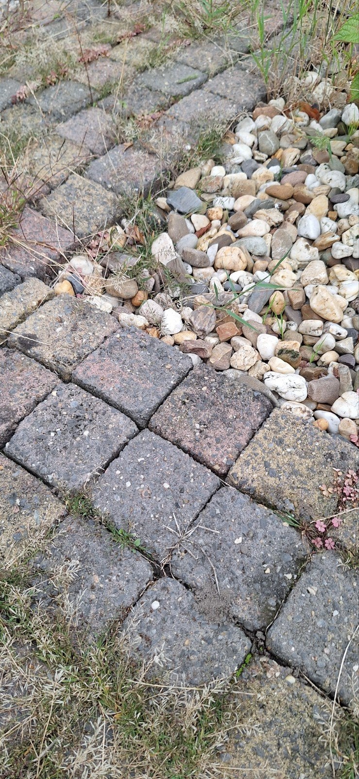 Gratis af te halen: gebruikte betonnen klinkers, Ophalen, Gebruikt, Klinkers, 5 tot 10 m²