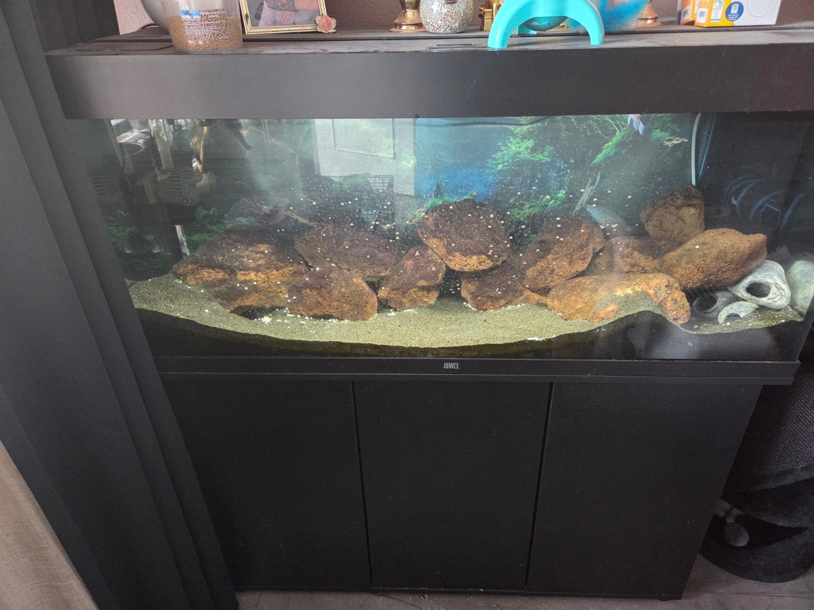 Juwel Aquarium, Dieren en Toebehoren, Ophalen, Zo goed als nieuw, Gevuld zoetwateraquarium
