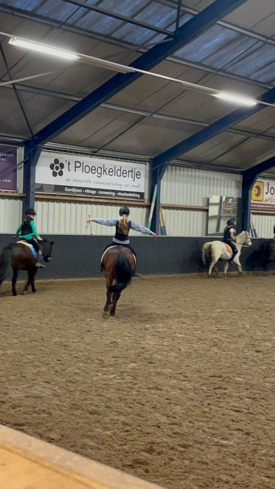 Verzorgpony gezocht, Dieren en Toebehoren, Ophalen, Recreatie