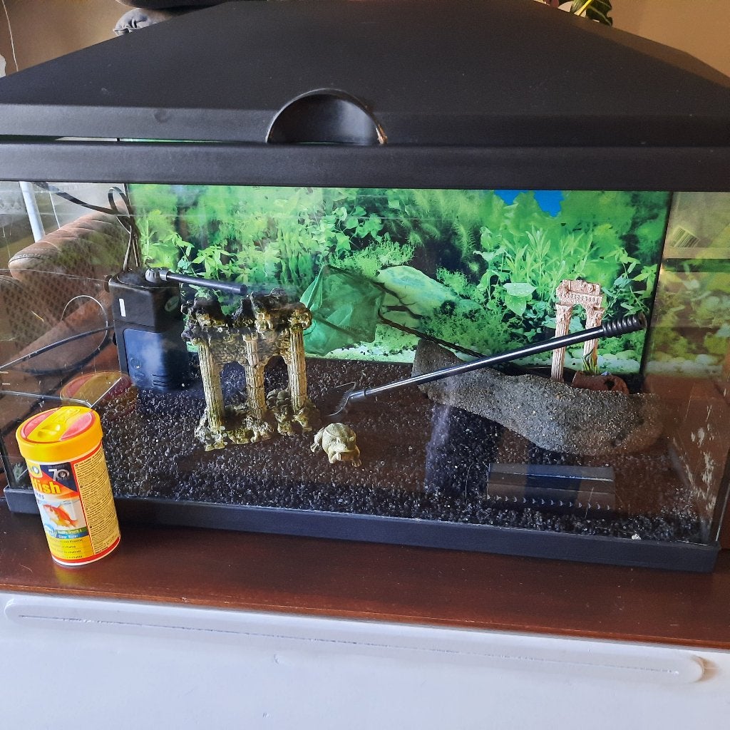 Aquarium, Ophalen, Inclusief toebehoren, Gebruikt, Leeg aquarium