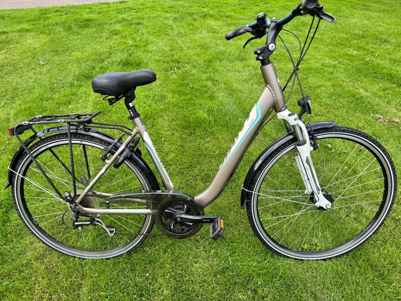 Nette Giant Argento damesfiets, frame 50cm, 21 vernellingen, Ophalen, Giant, Zo goed als nieuw, 50 tot 53 cm