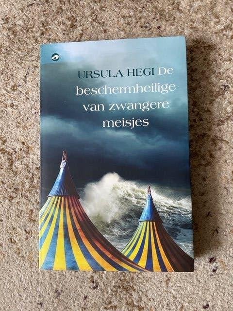 boek De beschermheilige van zwangere meisjes, Europa overig, Ursula Hegi, Nieuw, Ophalen of Verzenden