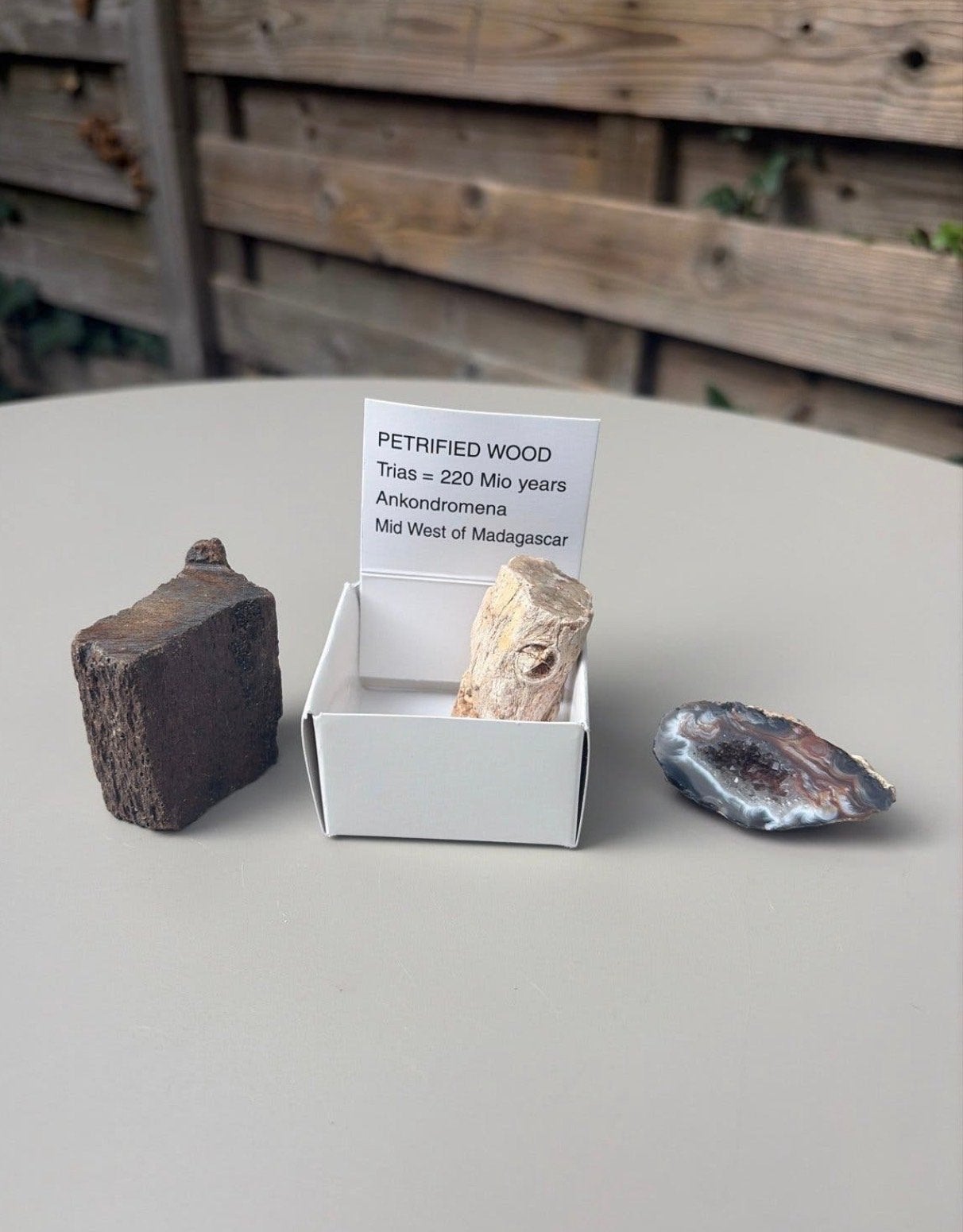Unieke set: 220 miljoen jaar oud versteend hout & agaat geod, Ophalen of Verzenden, Fossiel