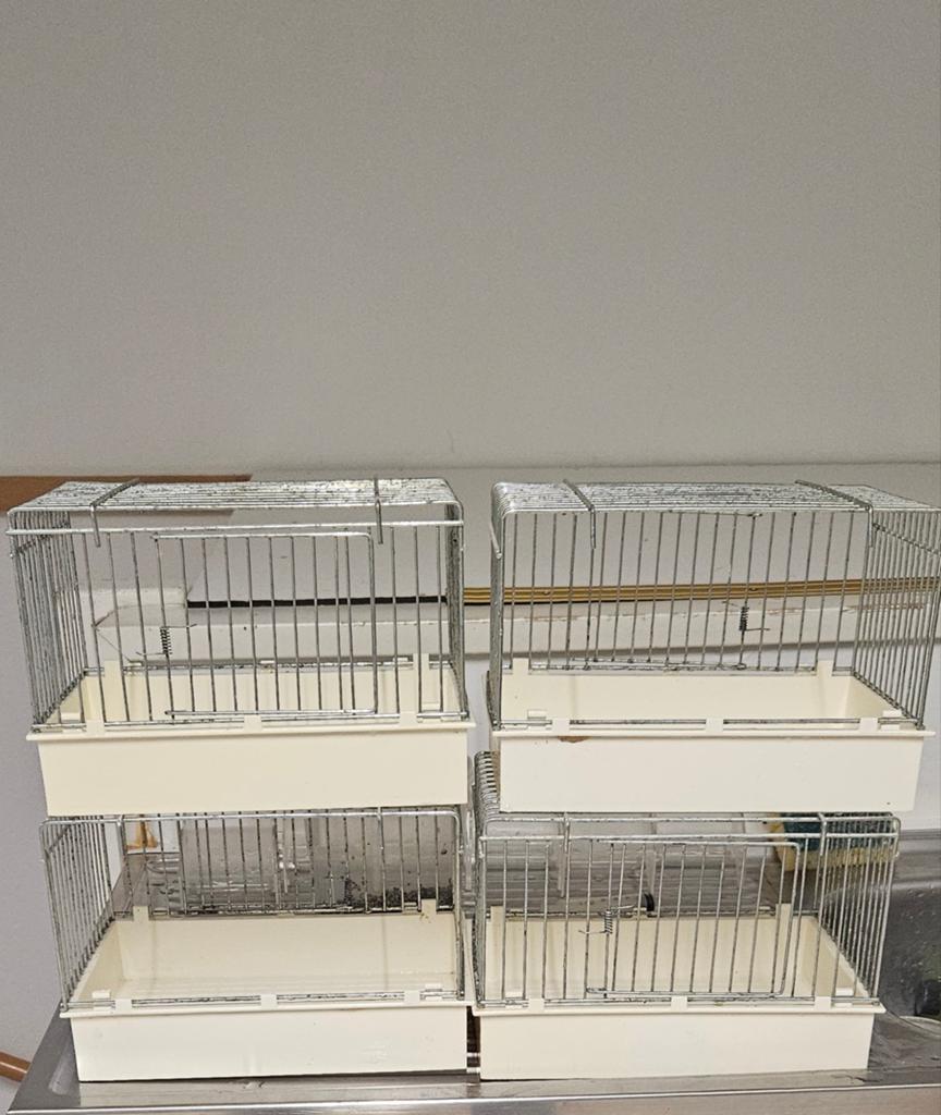 Baby kooitjes, Dieren en Toebehoren, Vogels | Hokken en Kooien, Ophalen, Gebruikt, Metaal, Vogelkooi