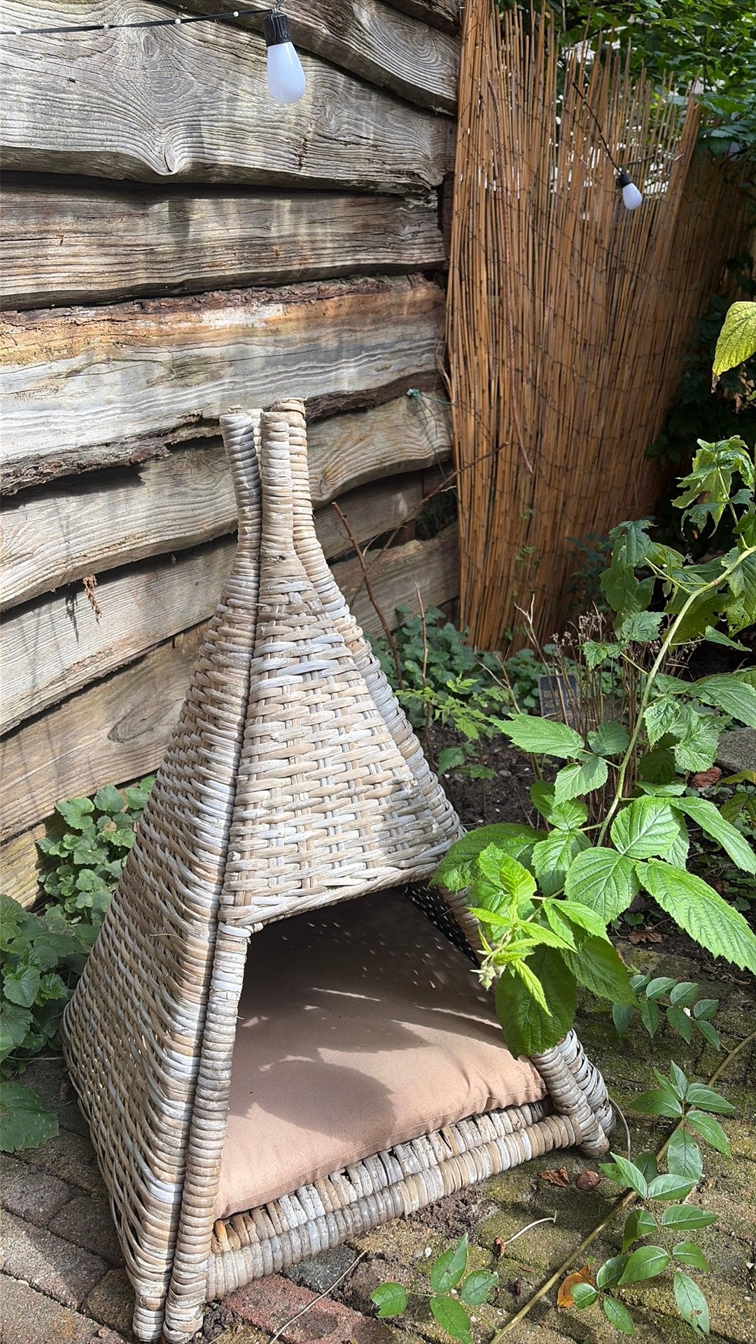 Katten rotan tipi voor binnen of buiten, Ophalen
