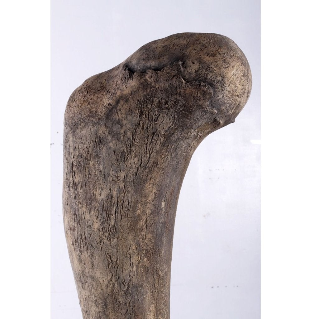 Dinosaurs Titanosaur Femur - Dinosaurus decoratie - 238 cm, Ophalen, Nieuw, Overige typen