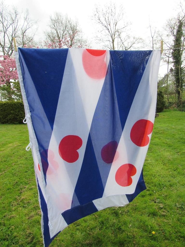 FRIESE VLAG 2.90 M X 1.00 M, Ophalen of Verzenden, Nieuw