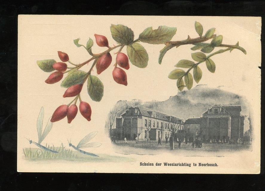 1900 Neerbosch SCHOLEN DER WEESINRICHTING (GLD-34), Verzamelen, Ansichtkaarten | Nederland, Ophalen, Voor 1920, Gelderland