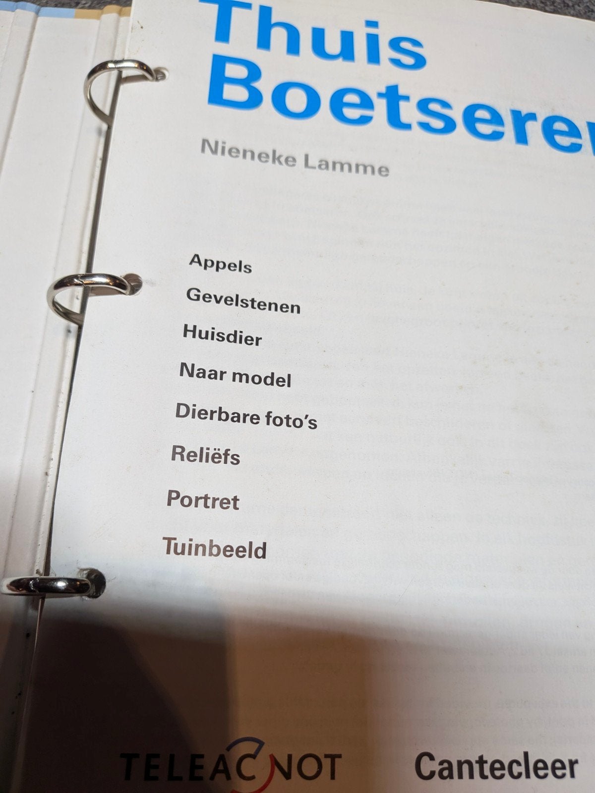 Thuis Boetseren - Nieneke Lamme (Handleiding voor kleien), Ophalen of Verzenden, Gelezen, Kleien en Boetseren, Nieneke Lamme