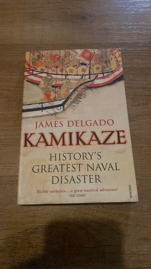 James Delgado - Kamikaze, Ophalen of Verzenden, Zo goed als nieuw, James Delgado
