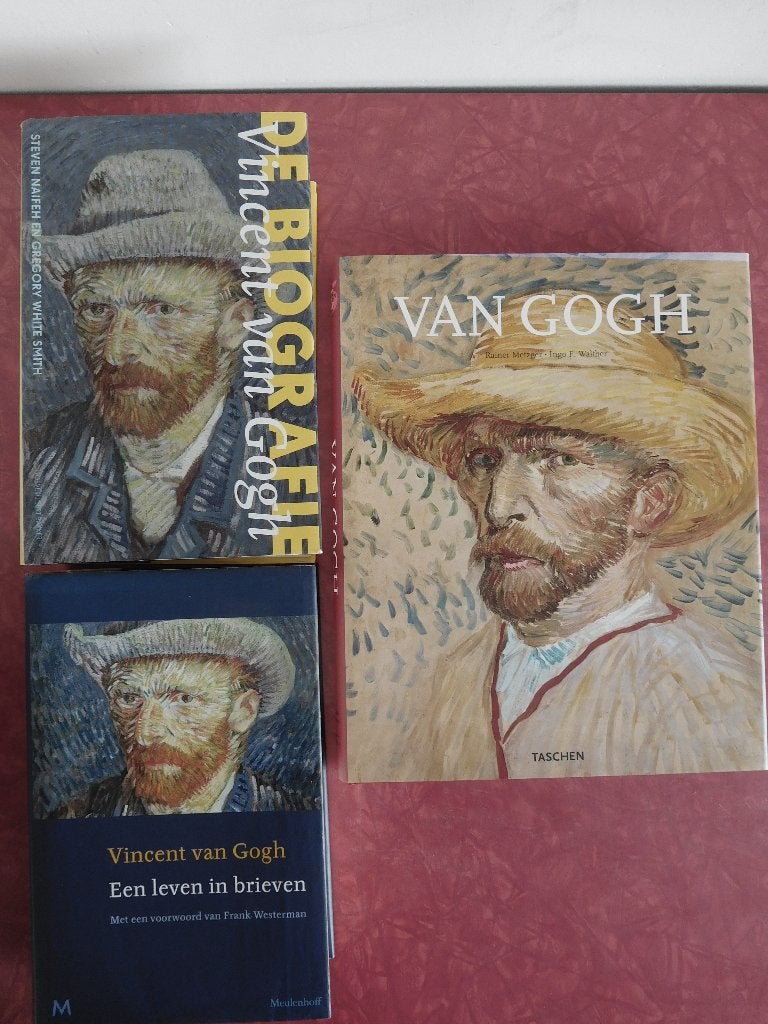 Vincent van Gogh  De Biografie  Een leven in brieven, Ophalen of Verzenden, Gelezen