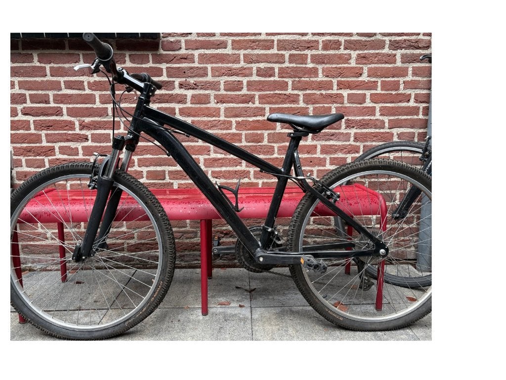 Mountainbike Rockrider (decathlon), Gebruikt, Velgrem, Versnellingen, Rockrider