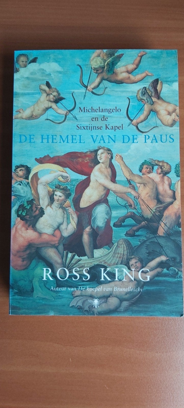 Michelangelo en de Sixtijnse Kapel - De Hemel van de Paus, Ophalen of Verzenden, Zo goed als nieuw, Ross King, Nederland