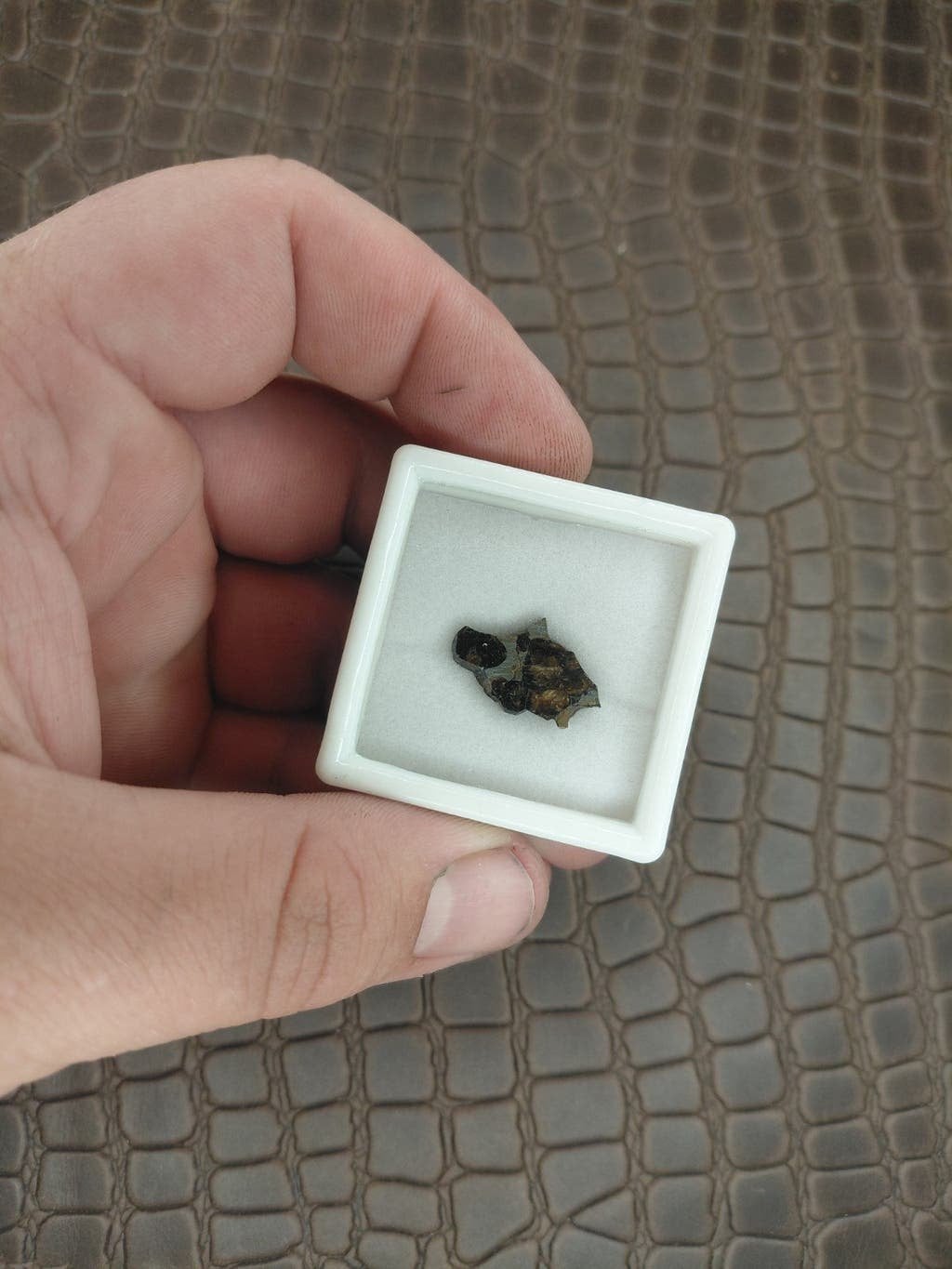 Palasite Meteorite slice €35, Verzenden