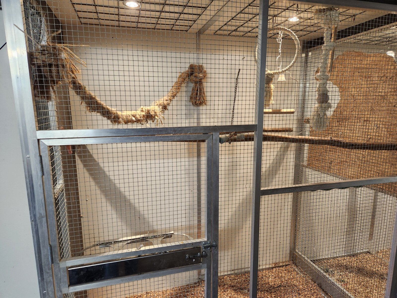 Papegaaien opvang Dordrecht, Meerdere dieren