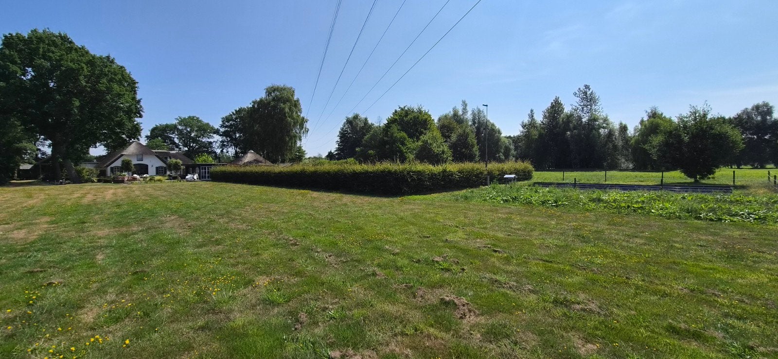 Grote Beukenhaag te koop, Ophalen, Beukenhaag, Haag, 100 tot 250 cm