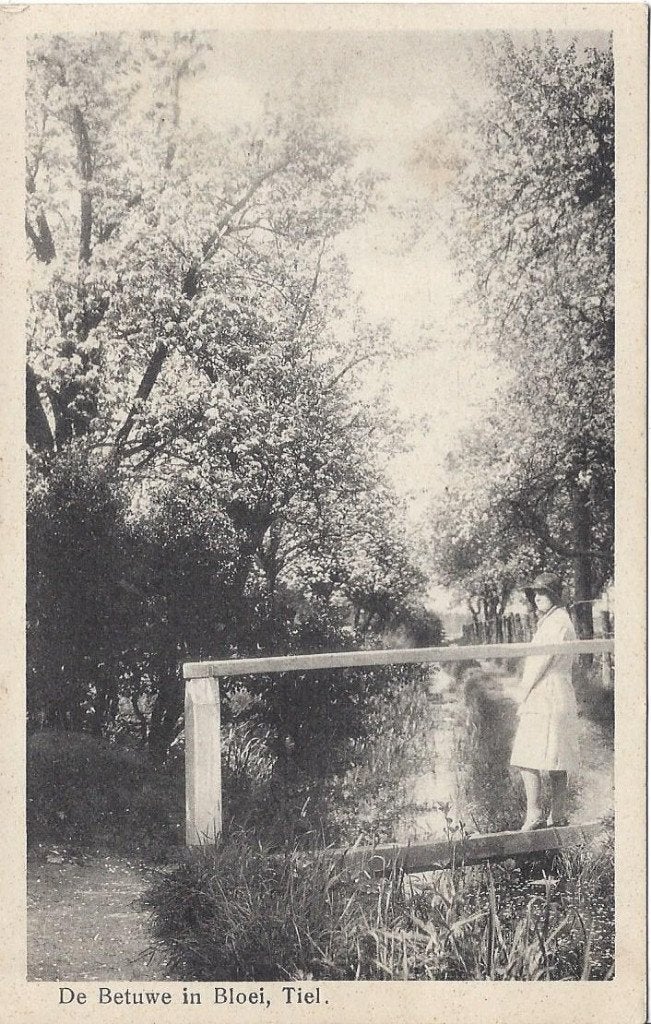 Tiel (Gld.) De Betuwe in Bloei, Volk, Ophalen of Verzenden, Voor 1920, Ongelopen, Gelderland