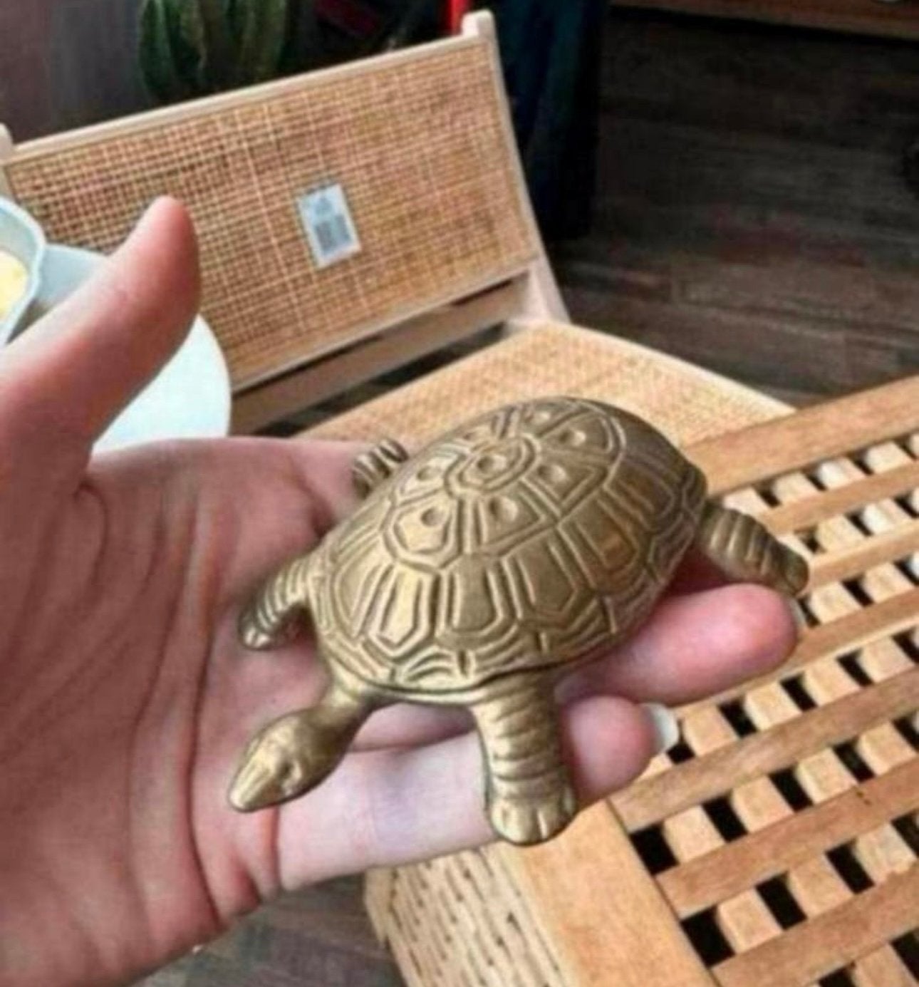 Messing schildpad met opbergruimte in het schild, Ophalen of Verzenden