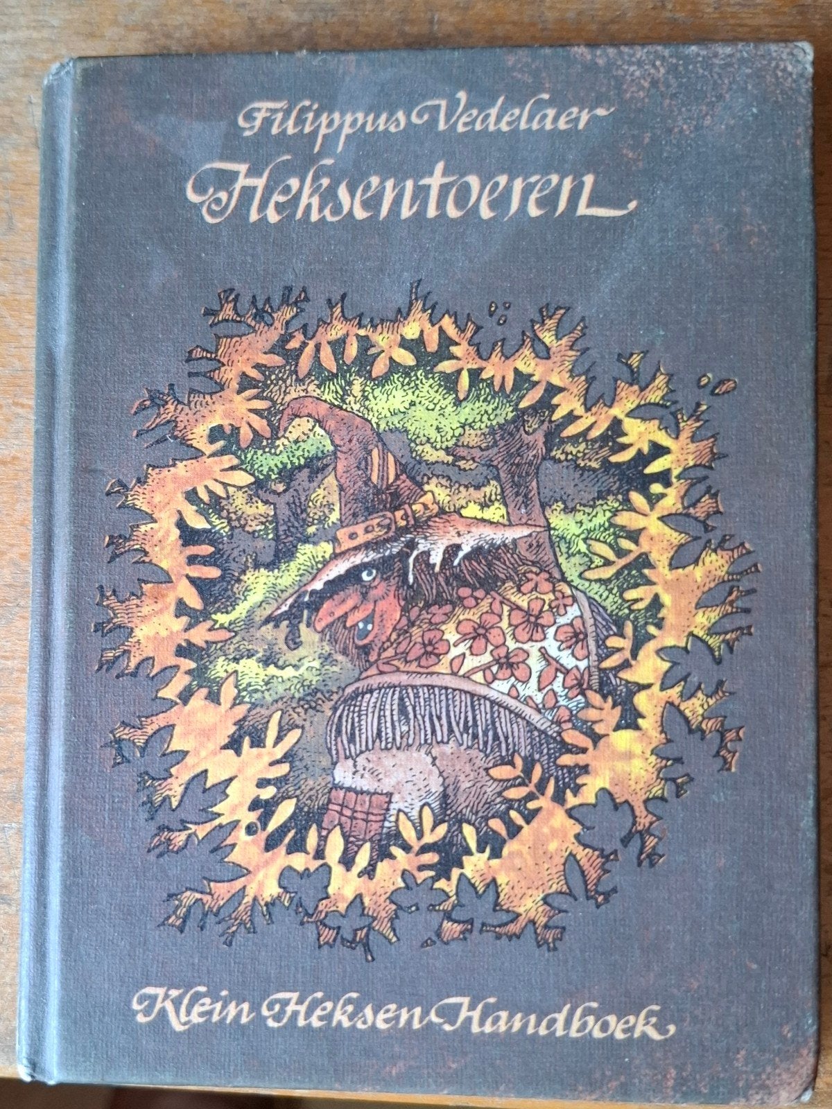 Heksentoveren: Klein Heksen Handboek - Diverse Behandelingen, Gelezen, Achtergrond en Informatie, Ophalen of Verzenden, Philippus Vedelaer