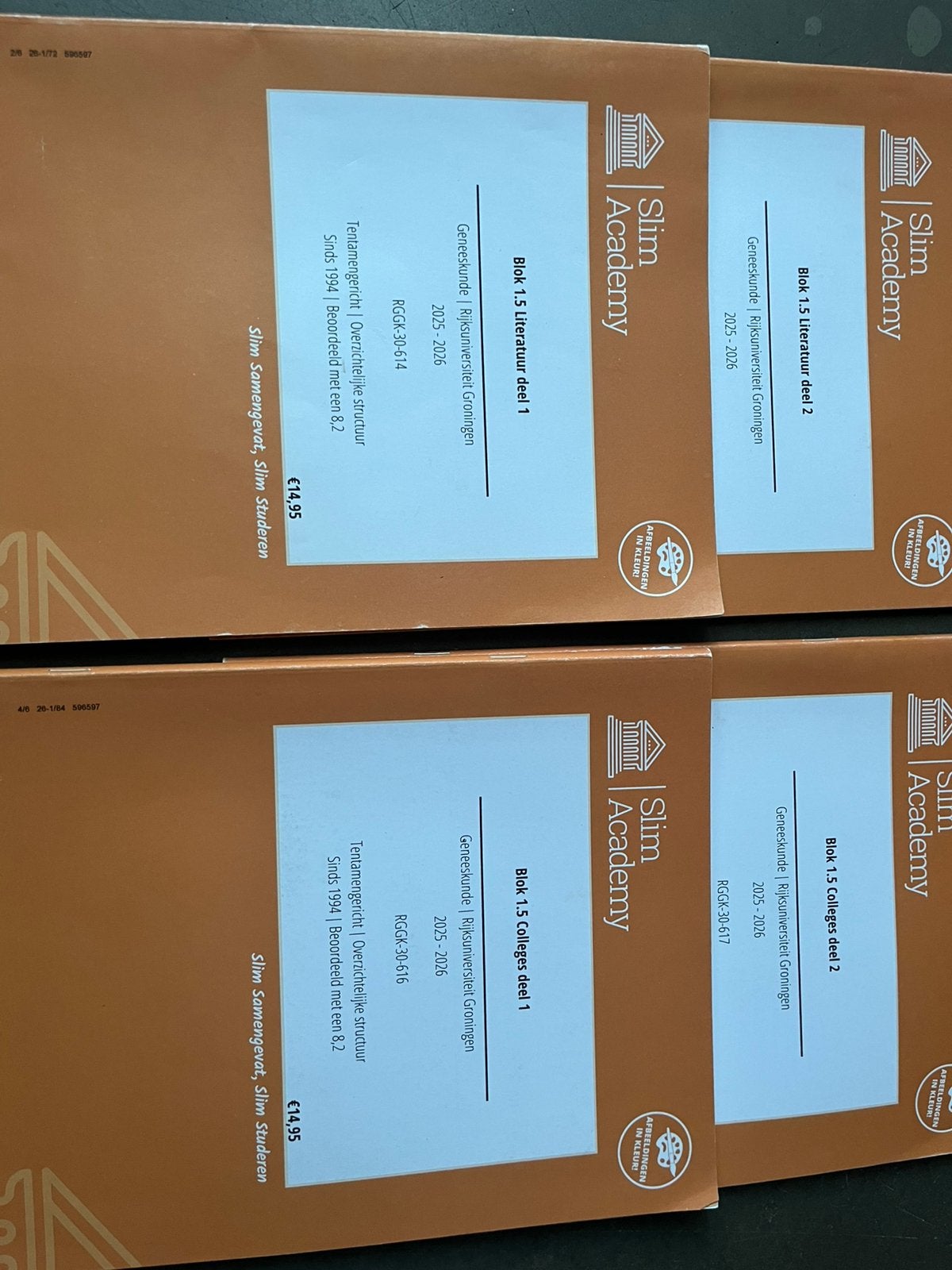 Geneeskunde Slim Academy Groningen, Ophalen of Verzenden, Zo goed als nieuw, WO