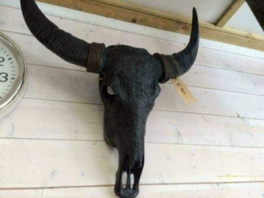 Foto 13 van Buffelschedels , Skulls , Longhorn , hoorns , bison schedels