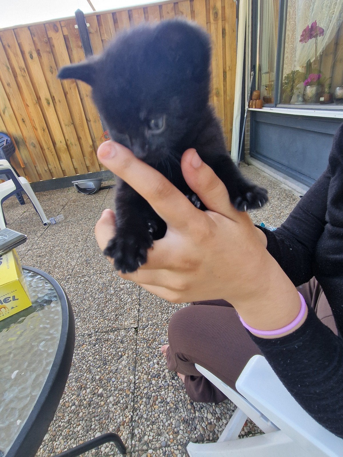 er is alleen  zwarte, Poes