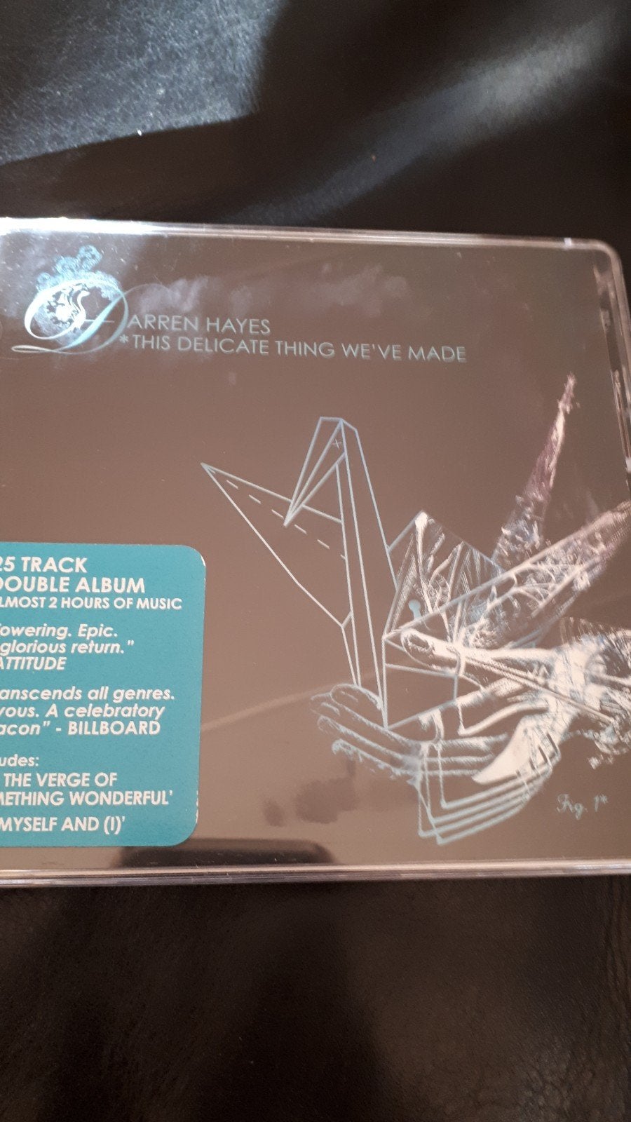 CD Darren Hayes this delicate thing we've made, Ophalen of Verzenden, Zo goed als nieuw, Pop