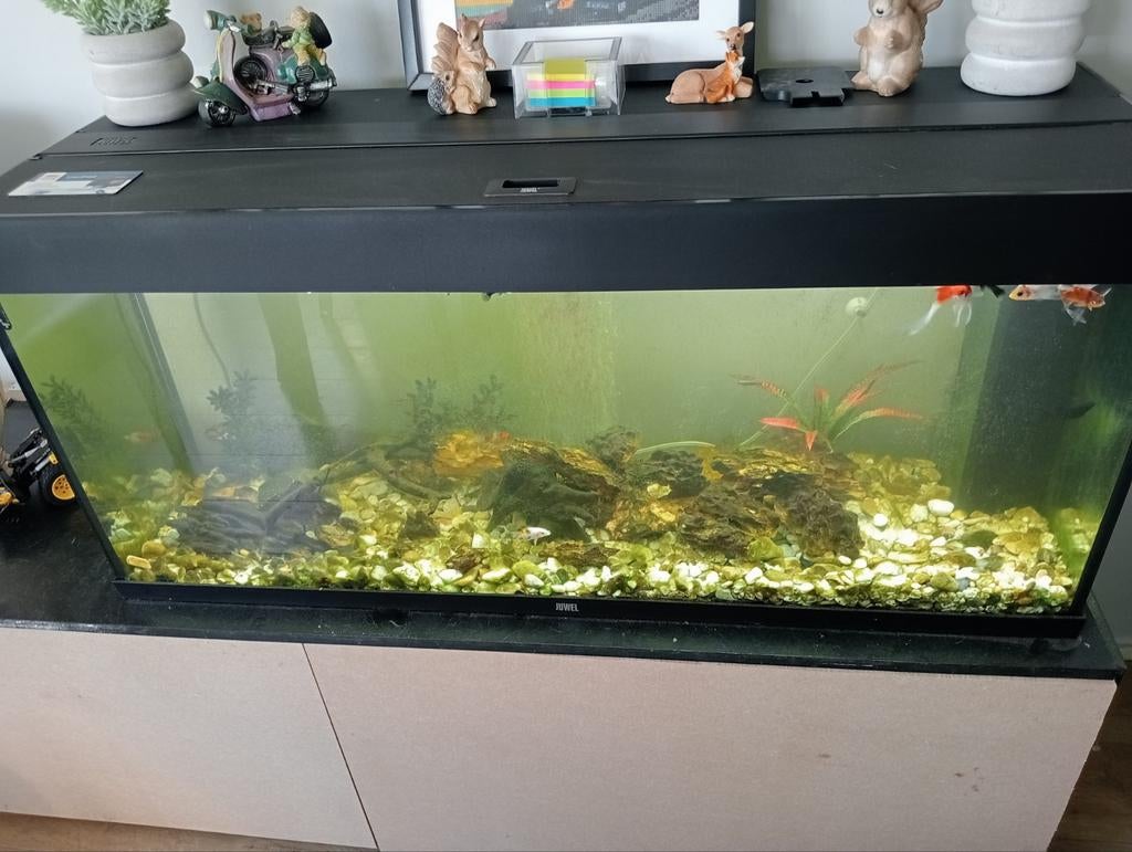 Juwel Aquarium 120x40x50, Ophalen, Leeg aquarium
