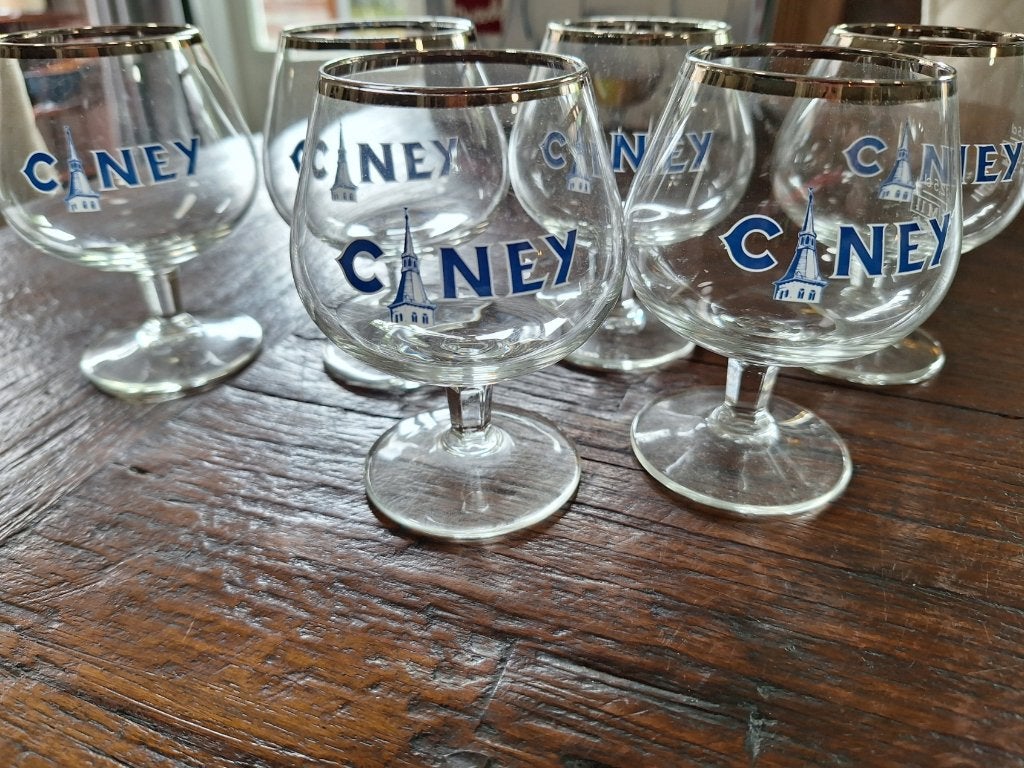 6 x miniglazen van Ciney. Nieuw in de doos, Ophalen of Verzenden, Nieuw, Glas of Glazen, Overige merken