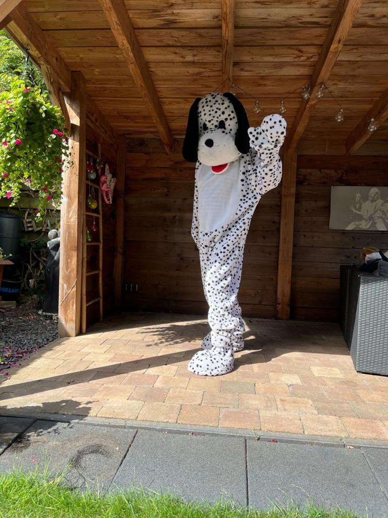 Dalmatiër mascotte kostuum en veel meer te huur, Ophalen of Verzenden, Zo goed als nieuw, Overige