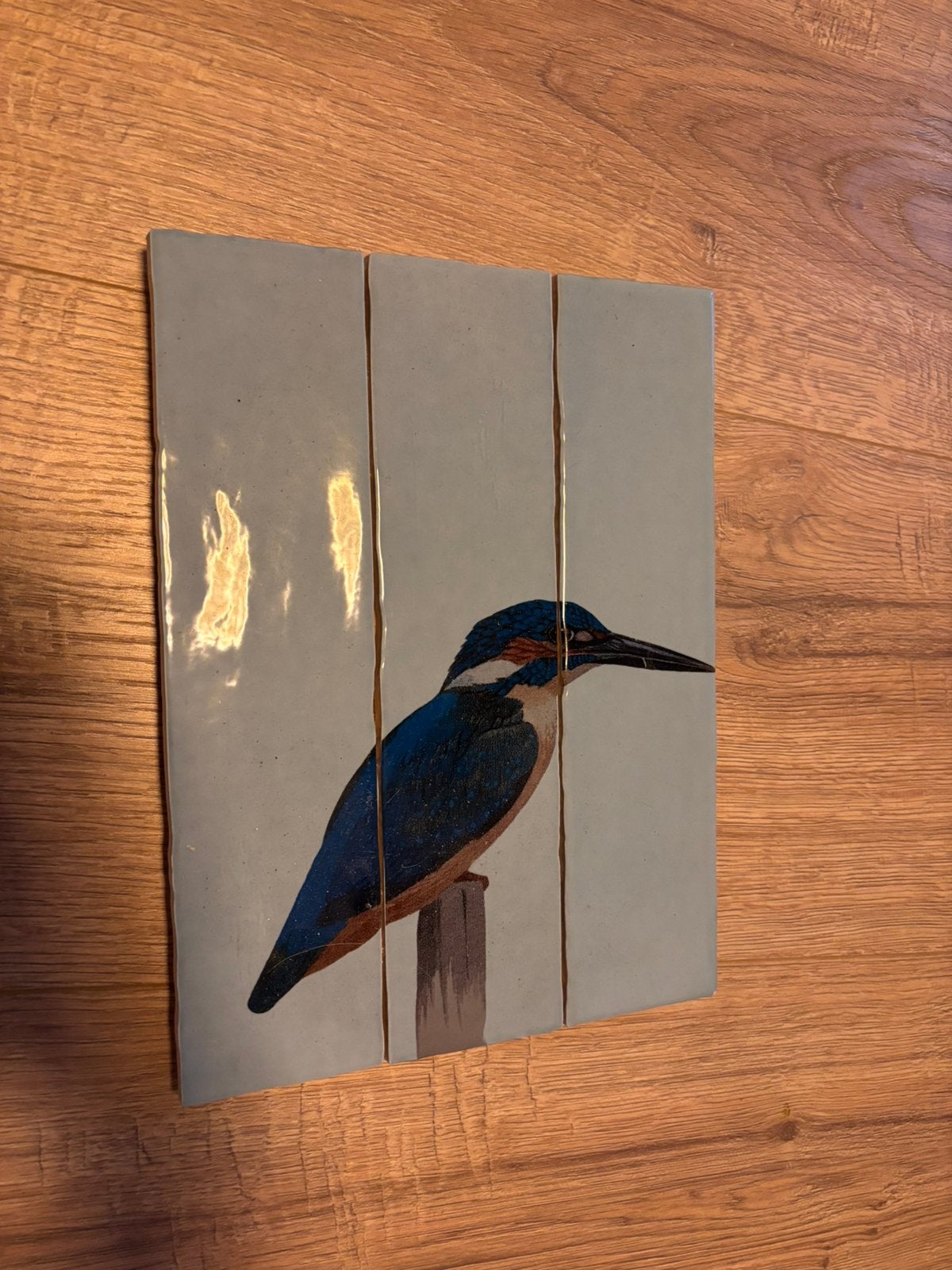 Ijsvogel, Ophalen