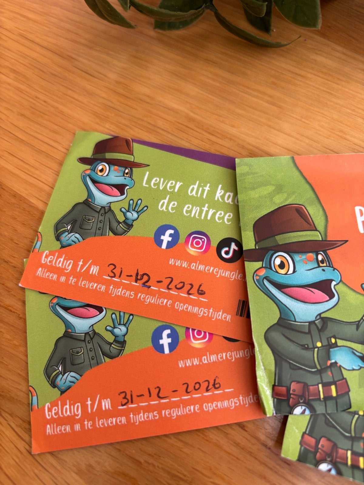 Almere Jungle 2 entree tickets + 2 bonnen korting pannenkoek, Twee personen, Ticket of Toegangskaart