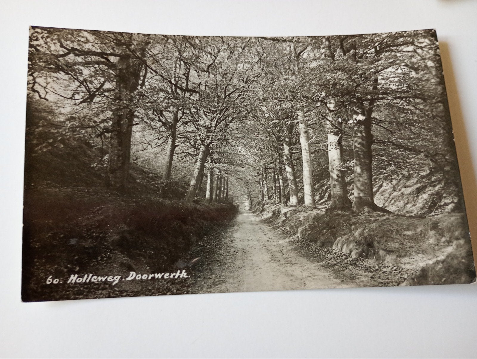 Fotokaart Doorwerth Holleweg 1936, Ophalen of Verzenden, 1920 tot 1940, Gelopen, Gelderland