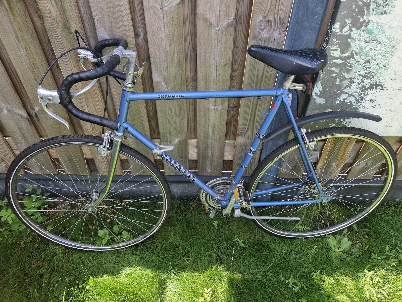 Batavus champion racefiets, Fietsen en Brommers, Fietsen | Racefietsen, Ophalen, Staal, Batavus