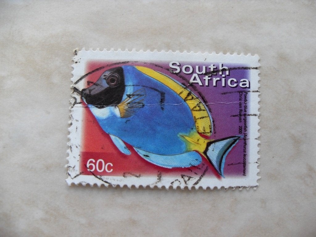 Z.Afrika 2000., Verzenden, Tanzania, Gestempeld