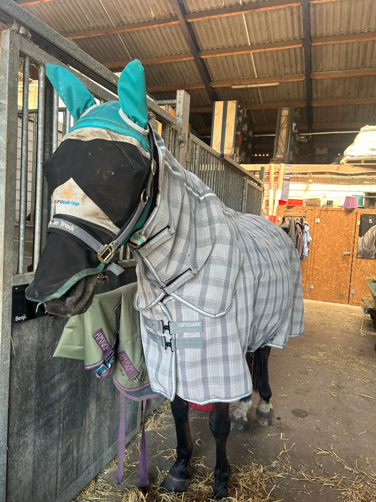 Zgan horseware amigo vliegendeken uv werend maat 6,3 / 1,90, Dieren en Toebehoren, Paarden en Pony's | Dekens en Dekjes, Ophalen of Verzenden