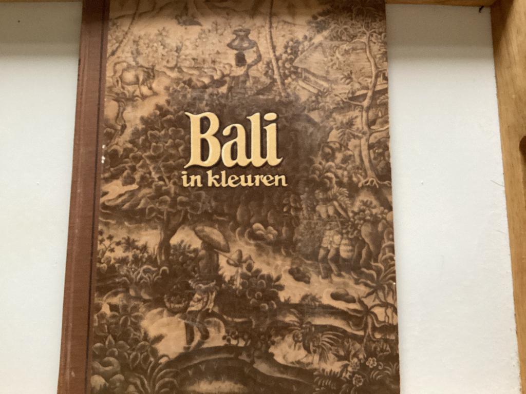 Bali in kleuren, Boeken, Ophalen of Verzenden, Gelezen, Piet Bakker, Plaatjesalbum