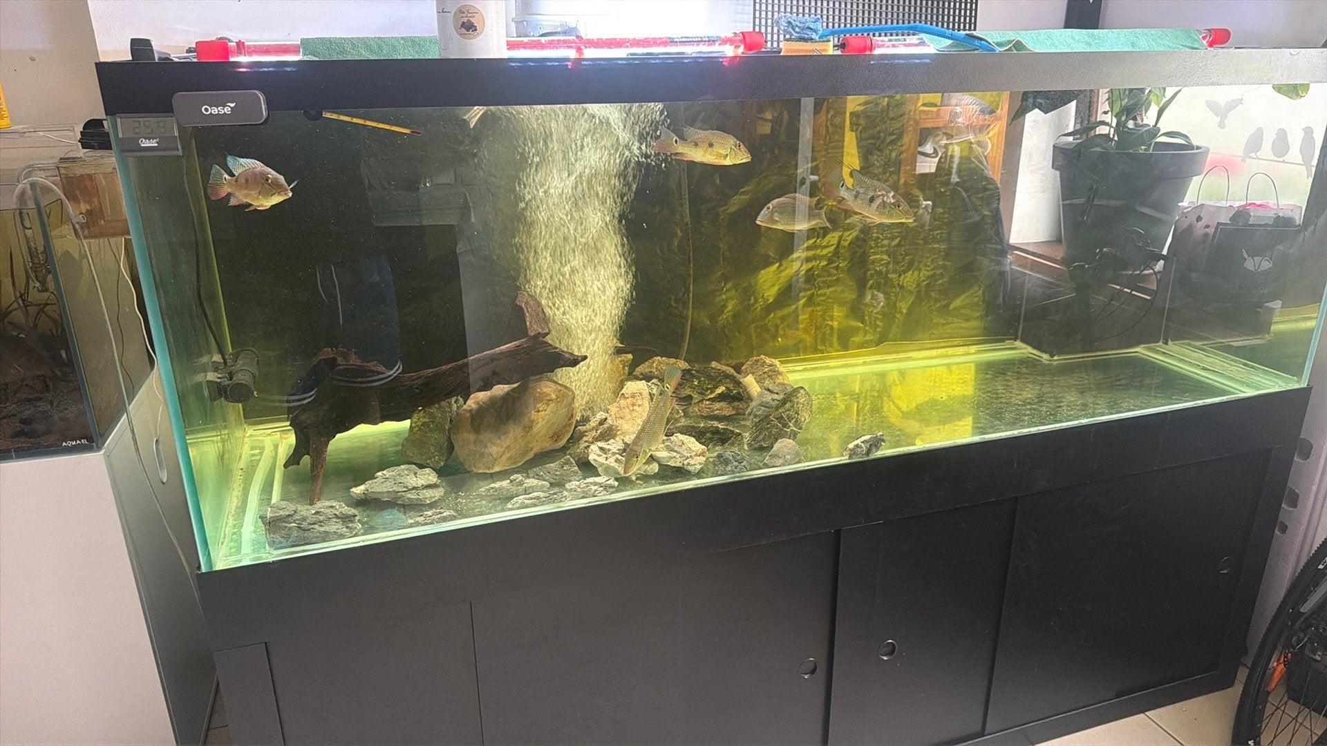 Aquarium 210 x 80 x 70cm with stump tank, Dieren en Toebehoren, Vissen | Aquaria en Toebehoren, Ophalen, Zo goed als nieuw, Leeg aquarium
