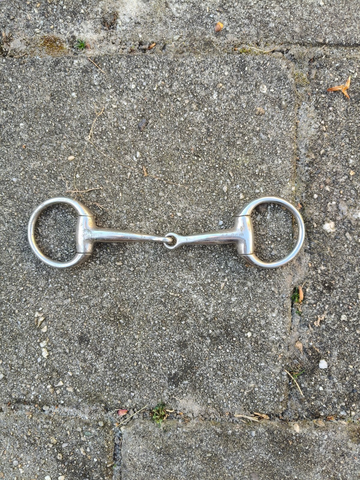 Bustrens 11cm, Dieren en Toebehoren, Ophalen of Verzenden