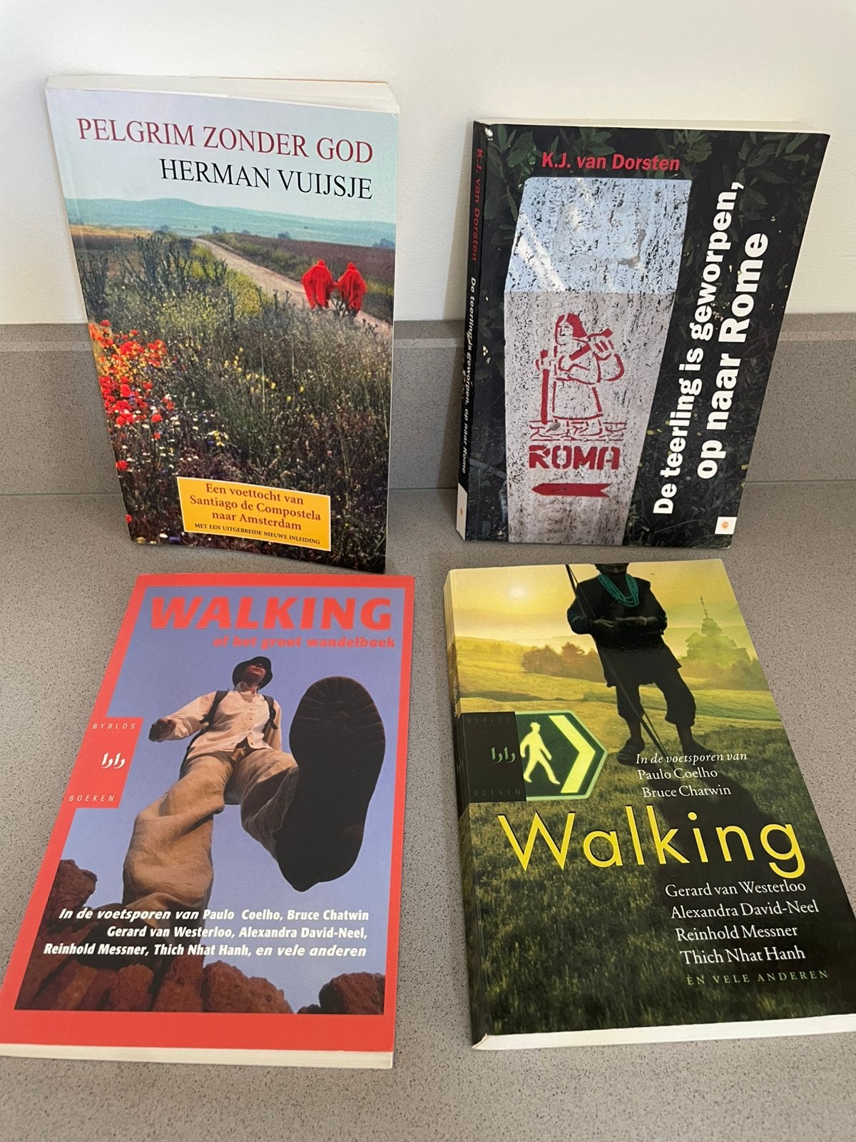 Diverse wandelboeken ; H. Vuijsje, , KJ. Dorsten, Overige merken, Fiets- of Wandelgids, Europa, Ophalen of Verzenden