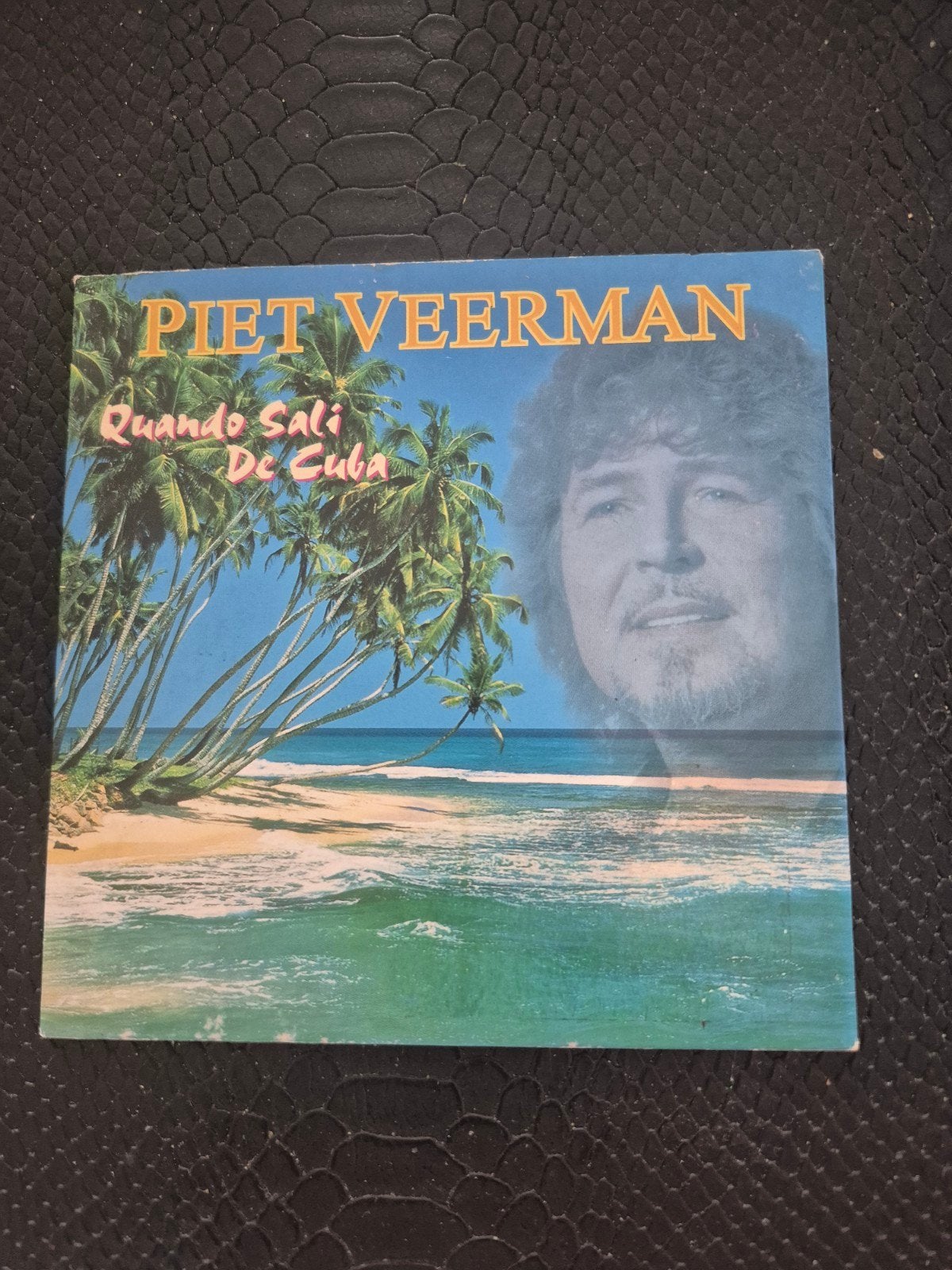 Piet Veerman, Cd's en Dvd's, 1 single, Ophalen of Verzenden, Zo goed als nieuw, Nederlandstalig