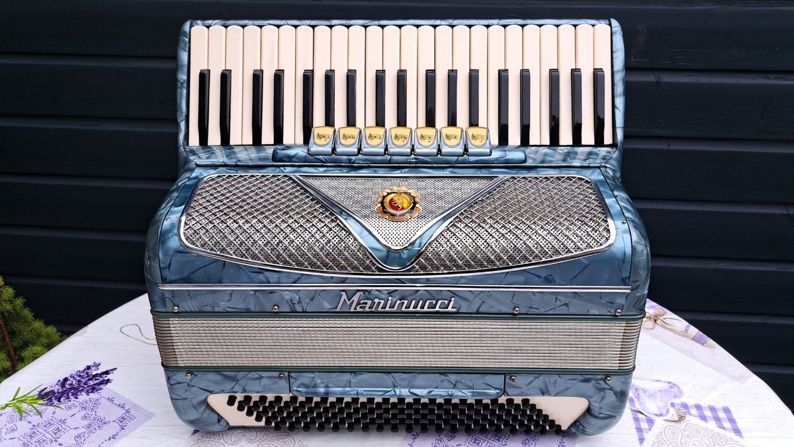 120 bas Marinucci accordeon, Ophalen, Gebruikt, 120-bas, Marinucci
