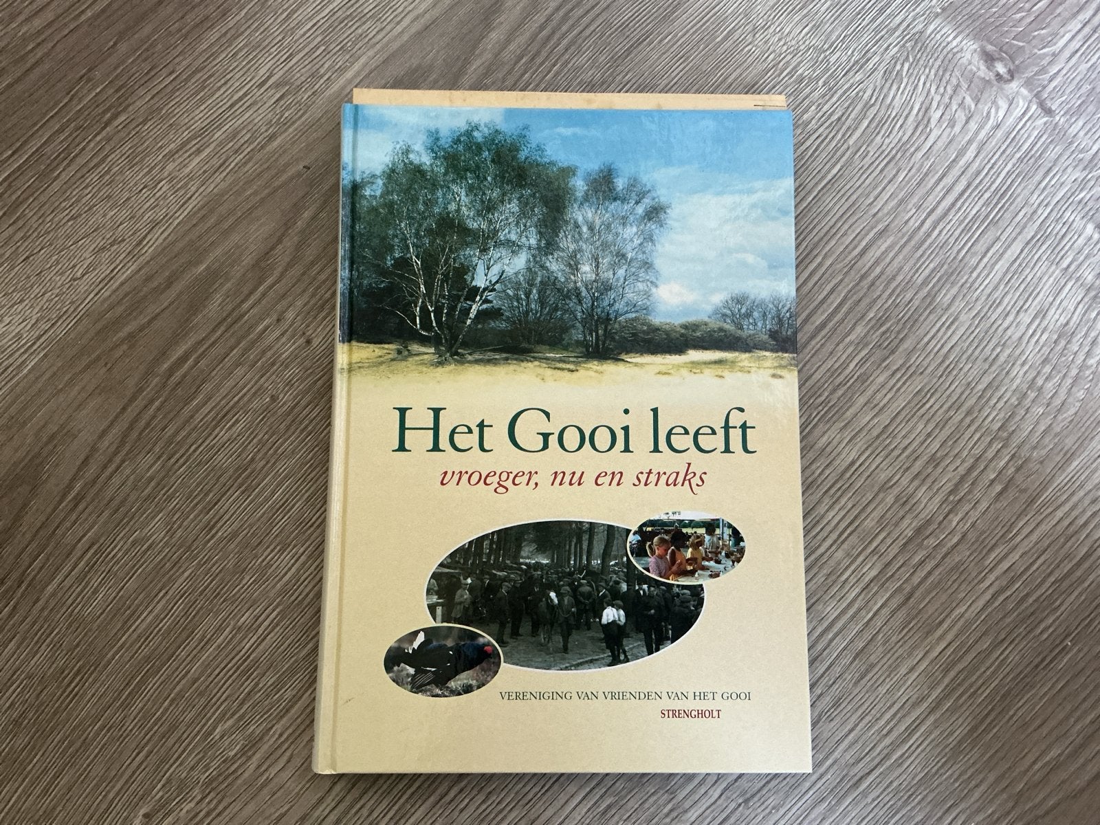 Het Gooi leeft: vroeger, nu en straks - Strengholt, Ophalen of Verzenden, 20e eeuw of later, Zo goed als nieuw