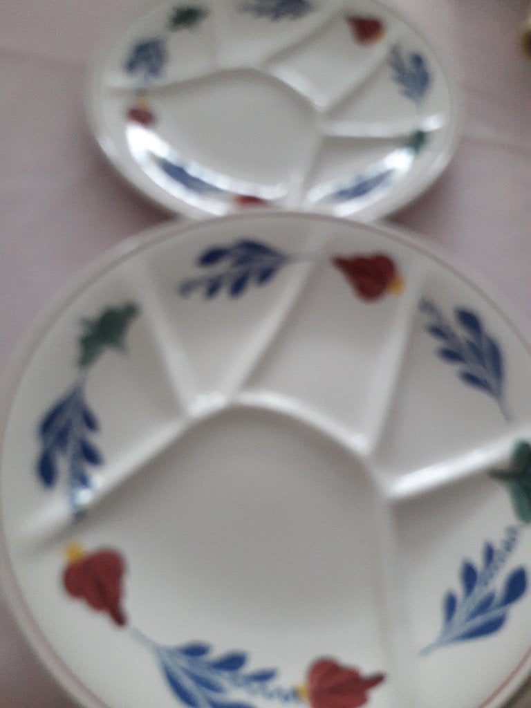 BOERENBONT FONDU BORDEN, Nieuw, Ophalen of Verzenden, Bord(en), Aardewerk