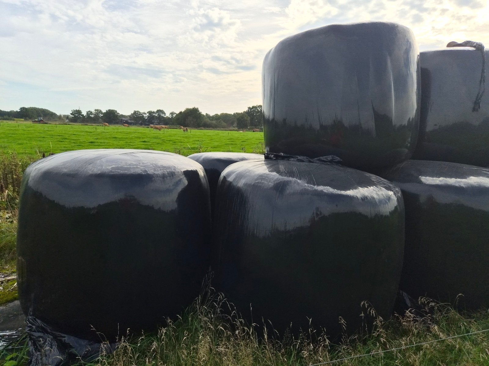 grote balen hooi, Ophalen, Vee