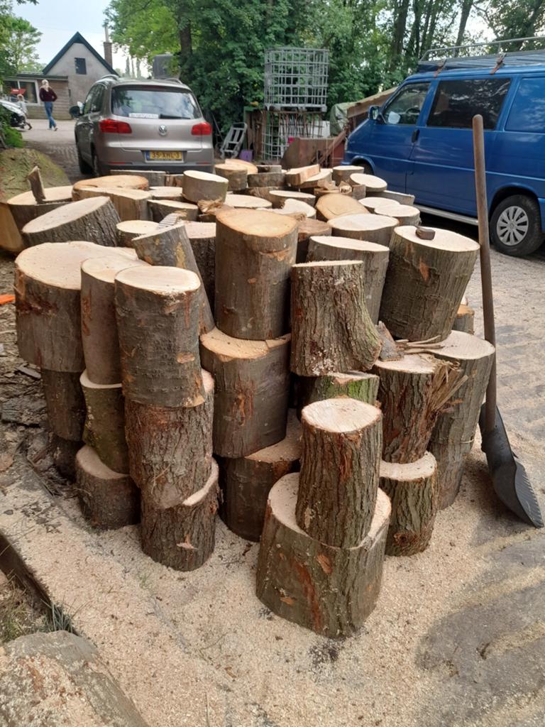 Eiken en beuken hout, Minder dan 3 m³, Ophalen, Beukenhout, Blokken