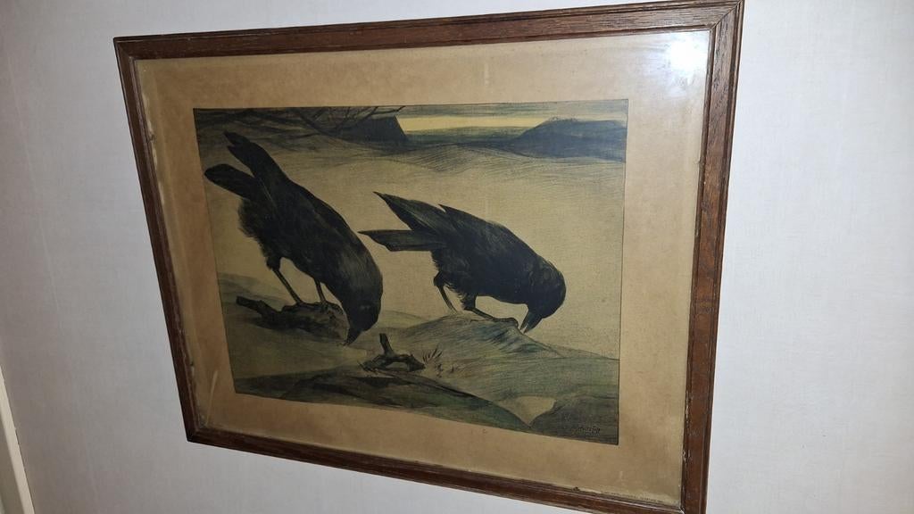2 kauwen in de sneeuw Adriaan van t Hoff  kraaien, Ets, Ophalen of Verzenden, Flora en Fauna, Ingelijst