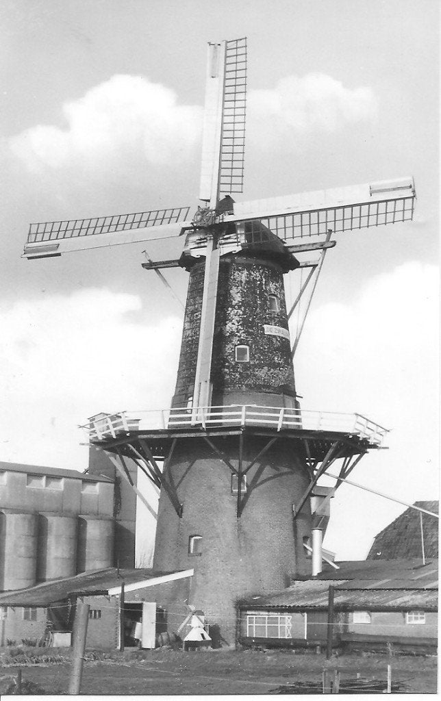 Ansichtkaart Korenmolen De Zwaluw Nieuwe Pekela 1973, Ophalen of Verzenden, 1960 tot 1980, Ongelopen, Groningen